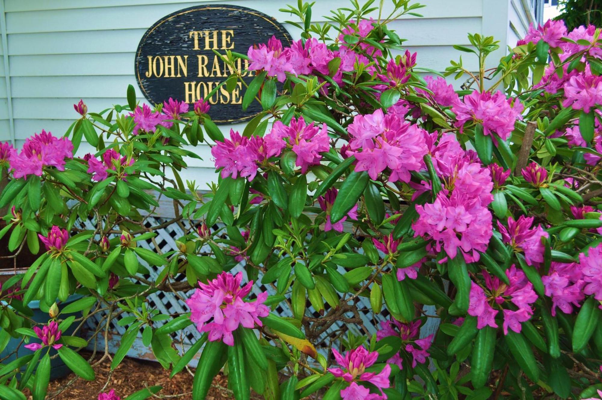 بروفينس The John Randall House المظهر الخارجي الصورة